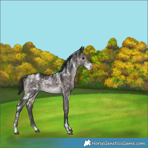 Horse Color:Powder White Platinum White Spotted Brown Dun Brindle 