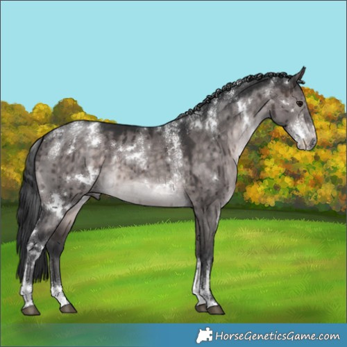 Horse Color:Powder White Platinum White Spotted Brown Dun Brindle 