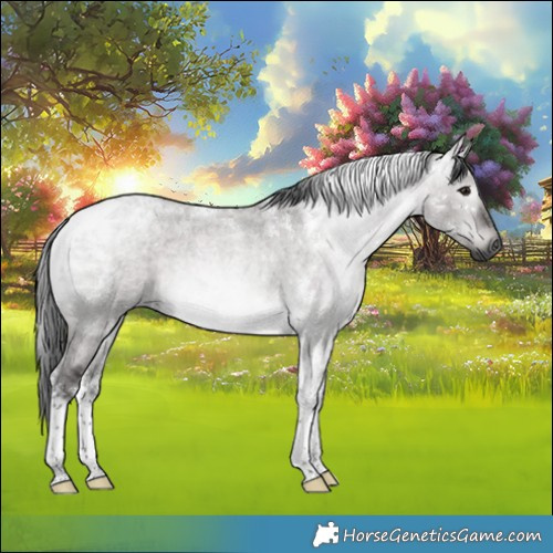 Horse Color:Gray Platinum Brown Roan Dun Tobiano Rabicano 