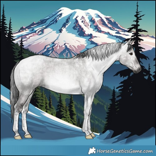 Horse Color:Gray Platinum Brown Roan Dun Tobiano Rabicano 