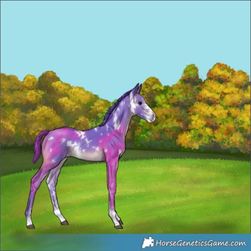 Horse Color:Platinum Watercolor White Spotted Brown Sabino 