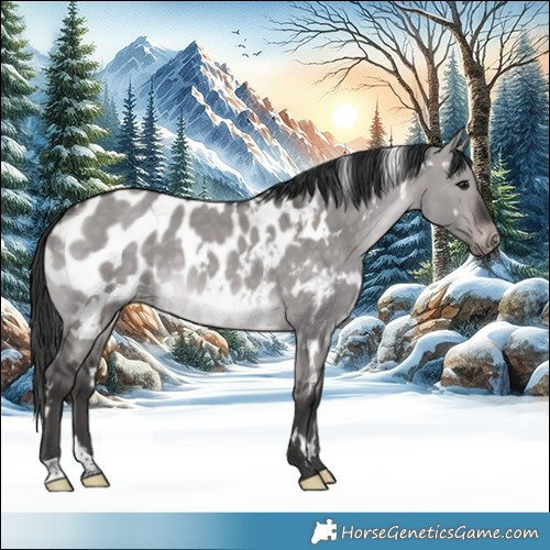 Horse Color:Platinum White Spotted Brown Dun Near Leopard 
