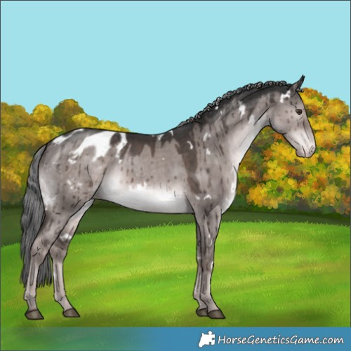 Horse Color:Platinum White Spotted Liver Red Dun Appaloosa Rabicano Brindle 