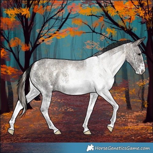 Horse Color:Brown Ice Roan Onyx Sabino 