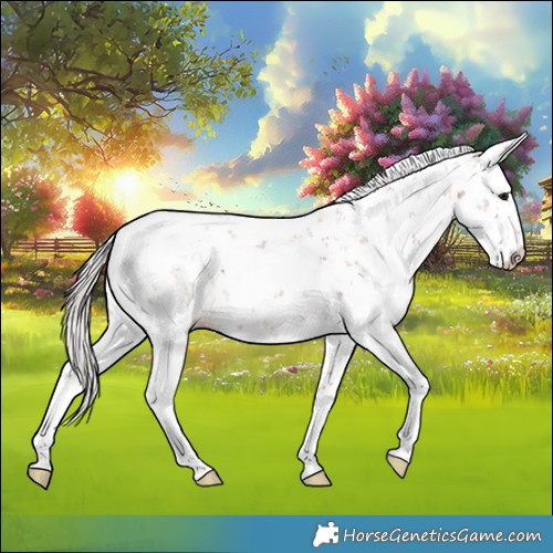 Horse Color:Chocolate Silver Brown Sabino Blanket 