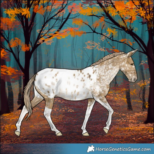 Horse Color:Chocolate Palomino Ice Dun Mushroom Tobiano Blanket 