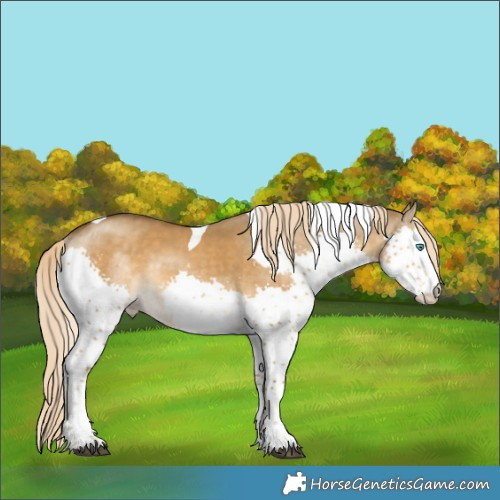 Horse Color:Chocolate Palomino Dun Mushroom Splash Tobiano 