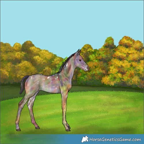 Horse Color:Nacre White Spotted Liver Red Dun 