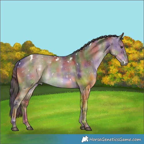 Horse Color:Nacre White Spotted Liver Red Dun 