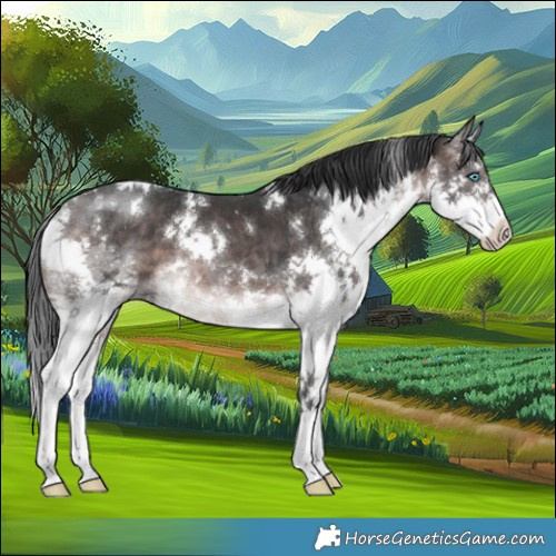 Horse Color:Platinum White Spotted Brown Sabino Splash 