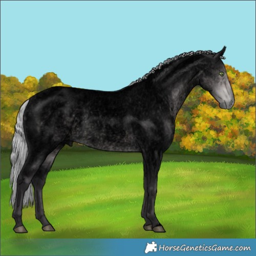 Horse Color:Void Platinum Silver Buckskin Roan 