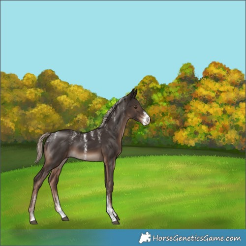 Horse Color:Powder White Liver Chestnut Mushroom Sabino 