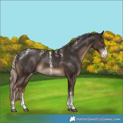 Horse Color:Powder White Liver Chestnut Mushroom Sabino 