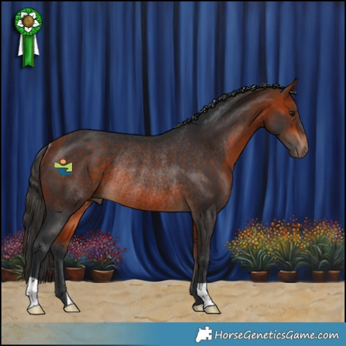 Horse Color:Bay Rabicano 