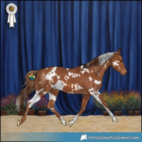 Horse Color:White Spotted Chestnut