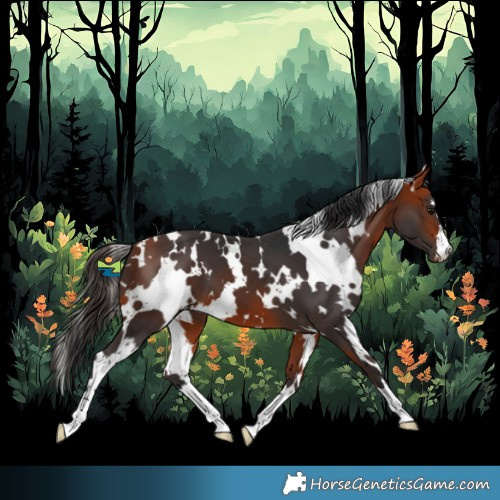 Horse Color:White Spotted Bay 