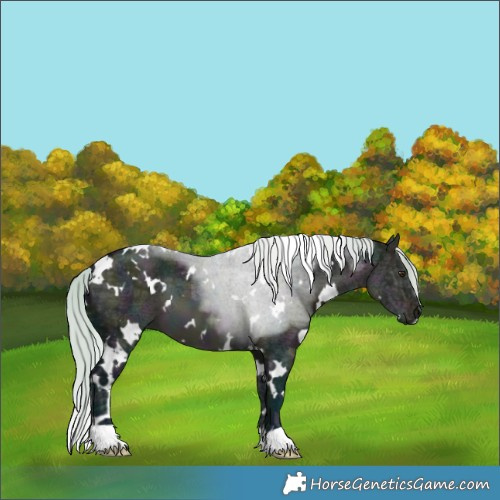 Horse Color:Watercolor White Spotted Midnight Silver Brown Ice Dun 