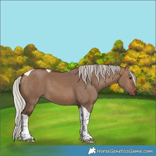 Horse Color:Silver Bay Dun Tobiano 