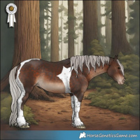 Horse Color:Silver Brown Tobiano Skewed Appaloosa Rabicano