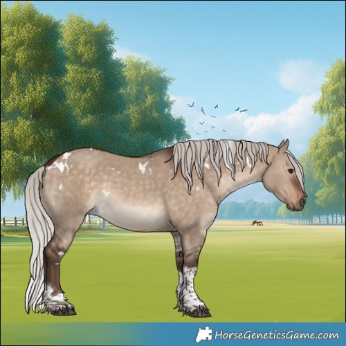 Horse Color:White Spotted Silver Brown Dun Tobiano Rabicano 