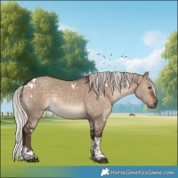 Horse Color:White Spotted Silver Brown Dun Tobiano Rabicano