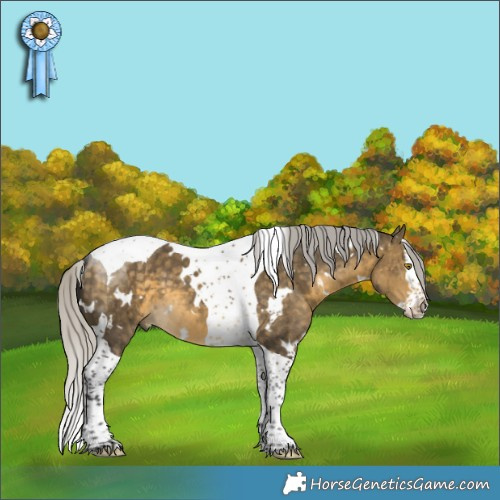 Horse Color:White Spotted Silver Buckskin Dun Splash Tobiano Brindle 