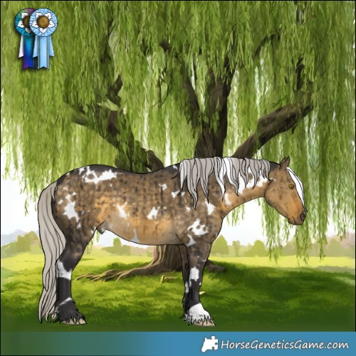 Horse Color:White Spotted Silver Buckskin Dun Brindle 