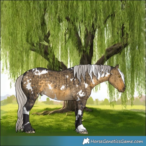 Horse Color:White Spotted Silver Buckskin Dun Brindle 