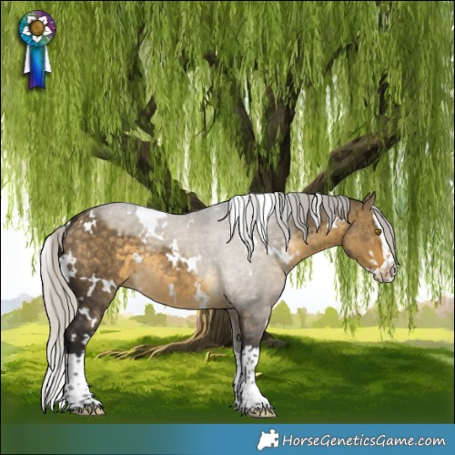 Horse Color:White Spotted Silver Buckskin Dun Splash Rabicano Brindle 