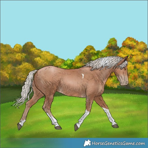 Horse Color:Silver Black Pearl Tobiano 