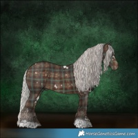 Horse Color:Plaid  White Spotted Silver Brown Tobiano 