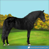 Horse Color:Void Platinum Blue Roan Blanket 