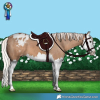 Horse Color:Silver Bay Dun Splash Blanket