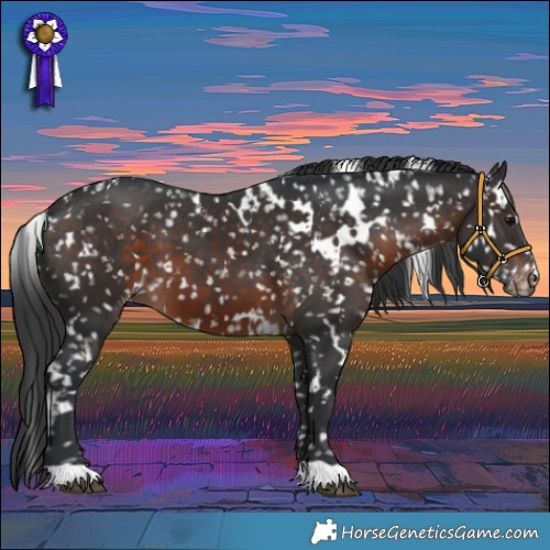 Horse Color:White Spotted Brown Snowflake Varnish
