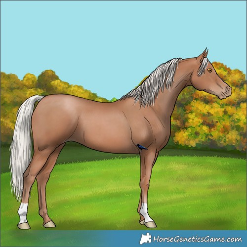 Horse Color:Silver Black Pearl 