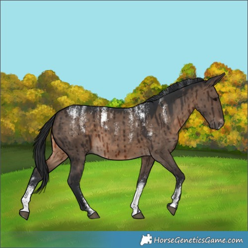 Horse Color:Powder White Brown Dun Brindle 