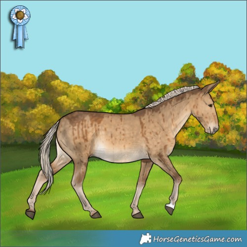 Horse Color:Chocolate Palomino Dun Brindle 