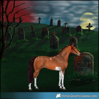 Horse Color:Bay Tobiano