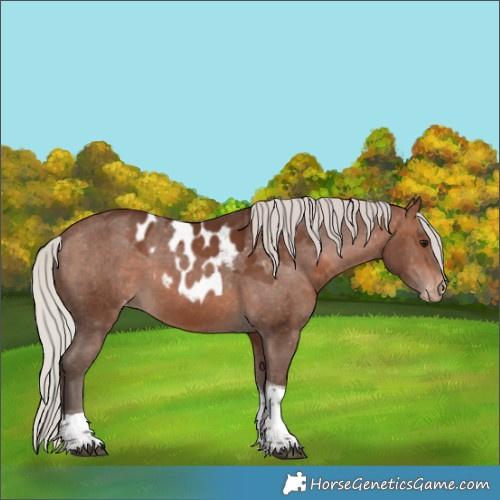 Horse Color:Silver Brown Tobiano Skewed LP Spotted 