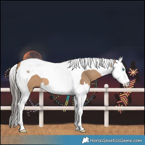 Horse Color:Bay Dun Splash Tobiano 