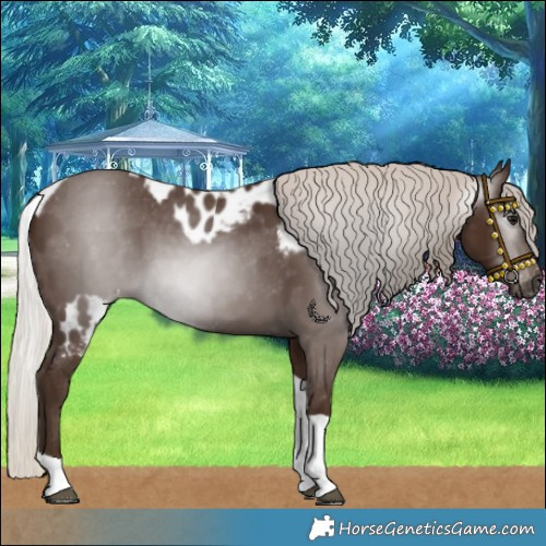 Horse Color:Gray Silver Black Tobiano Skewed LP Spotted 