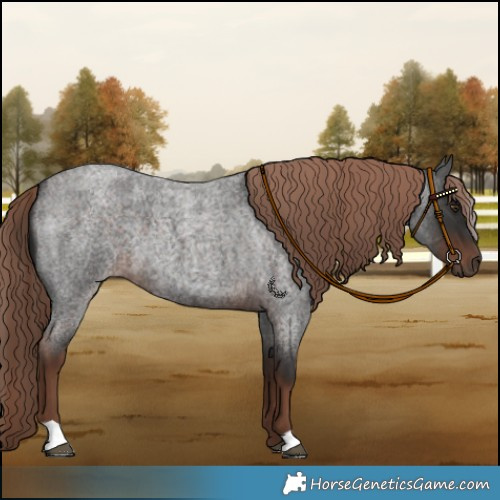 Horse Color:Liver Red Roan 