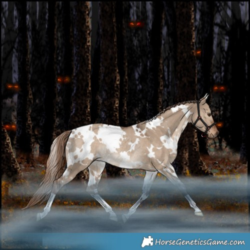 Horse Color:White Spotted Liver Red Dun Rabicano 