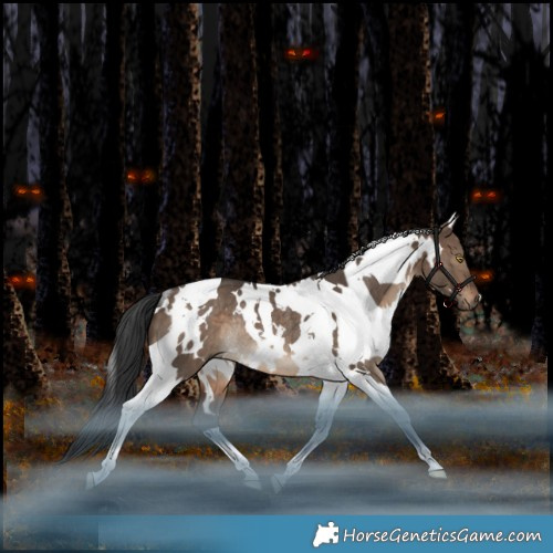 Horse Color:White Spotted Brown Dun Tobiano Rabicano 