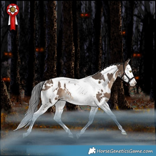 Horse Color:White Spotted Bay Dun Splash Tobiano Rabicano 
