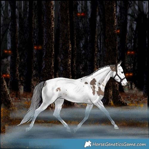 Horse Color:White Spotted Bay Dun Splash Tobiano Rabicano 