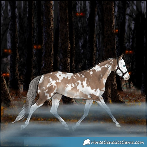 Horse Color:White Spotted Liver Red Dun Splash Rabicano 