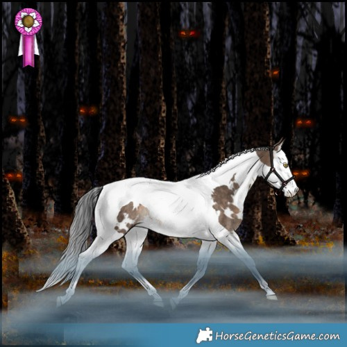 Horse Color:White Spotted Brown Dun Splash Tobiano Rabicano 