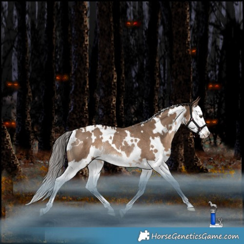 Horse Color:White Spotted Liver Red Dun Splash Rabicano 