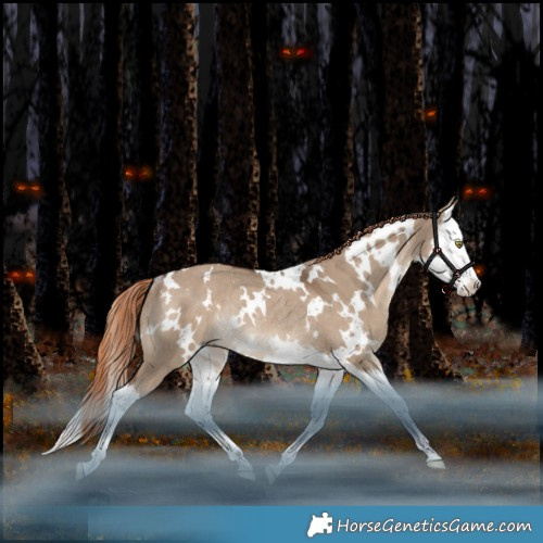 Horse Color:White Spotted Liver Red Dun Splash Rabicano 